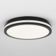 Citilux LUNS CL711021V LED Светильник влагозащищённый Чёрный