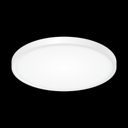 Citilux Бейсик CL738320V Светильник накладной Белый