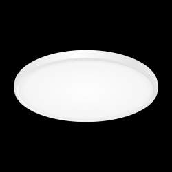 Citilux Бейсик CL738400V Светильник накладной Белый