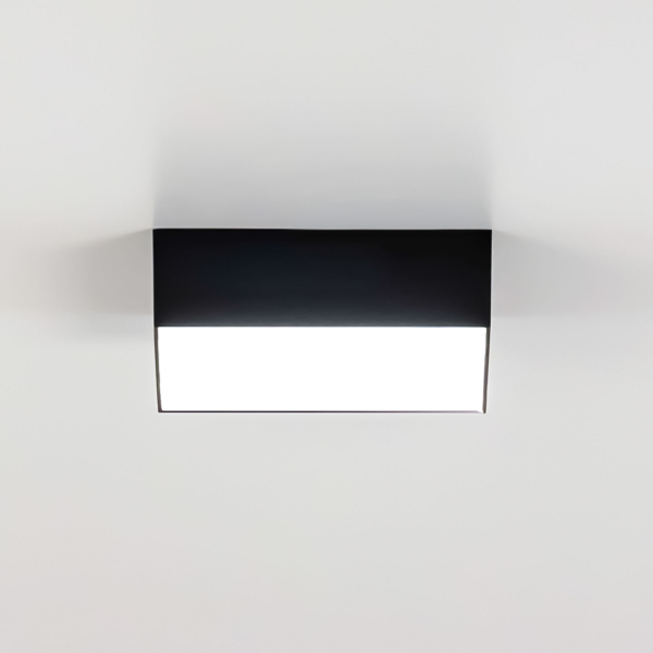 Citilux Тао CL712X122N LED Светильник потолочный с диммером Чёрный Citilux Тао CL712X122N LED Светильник потолочный с диммером Чёрный