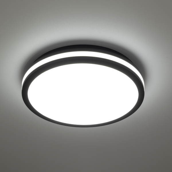 Citilux LUNS CL711021V LED Светильник влагозащищённый Чёрный Citilux LUNS CL711021V LED Светильник влагозащищённый Чёрный