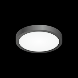 Citilux Бейсик CL738121N Светильник накладной Чёрный