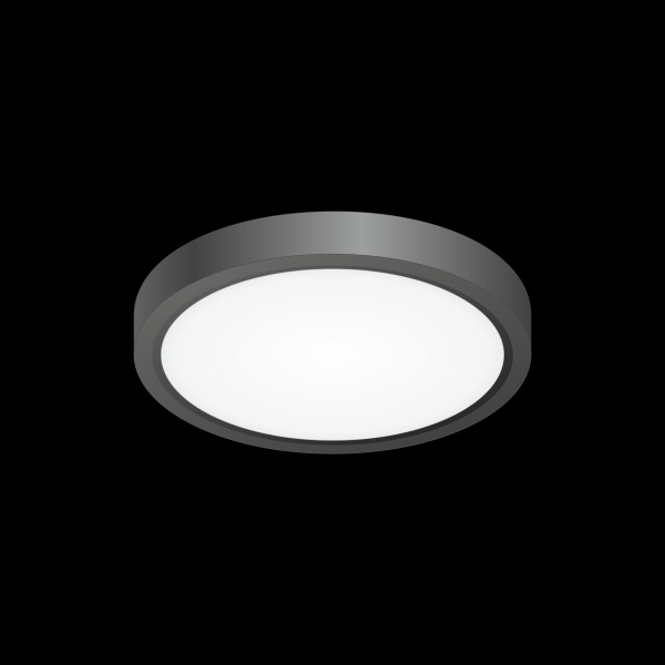 Citilux Бейсик CL738121N Светильник накладной Чёрный