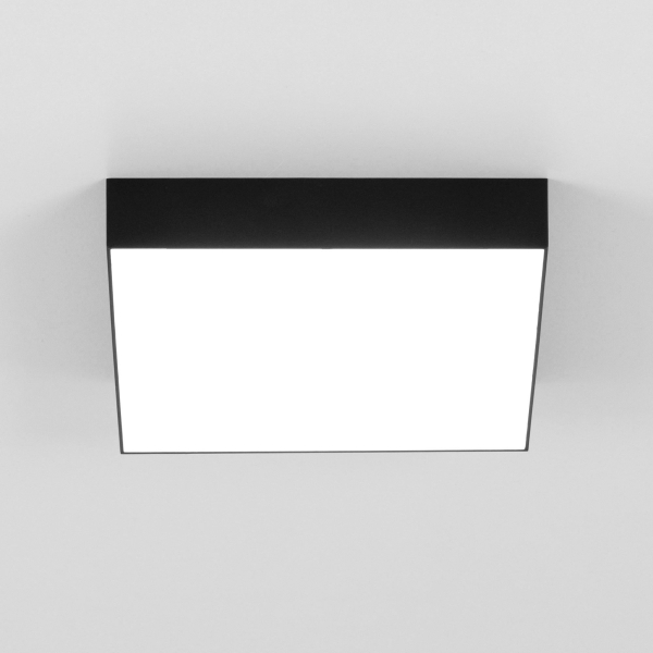 Citilux Тао CL712X242N LED Светильник потолочный с диммером Чёрный Citilux Тао CL712X242N LED Светильник потолочный с диммером Чёрный
