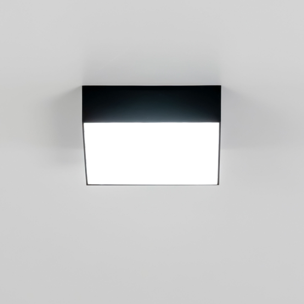 Citilux Тао CL712X122N LED Светильник потолочный с диммером Чёрный Citilux Тао CL712X122N LED Светильник потолочный с диммером Чёрный