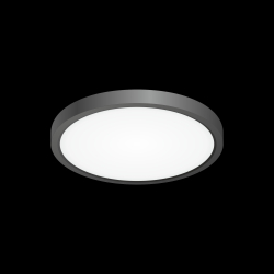Citilux Бейсик CL738181V Светильник накладной Чёрный
