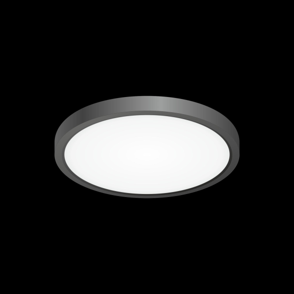 Citilux Бейсик CL738181V Светильник накладной Чёрный Citilux Бейсик CL738181V Светильник накладной Чёрный