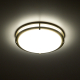 Citilux Бостон CL709323N LED Светильник с диммером Бронза