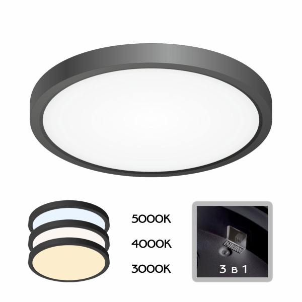 Citilux Бейсик CL738181V Светильник накладной Чёрный Citilux Бейсик CL738181V Светильник накладной Чёрный