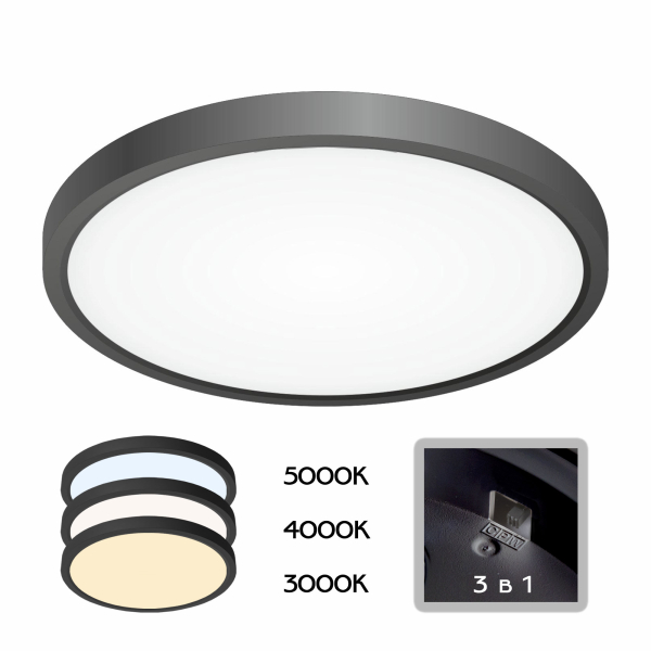 Citilux Бейсик CL738241V Светильник накладной Чёрный Citilux Бейсик CL738241V Светильник накладной Чёрный
