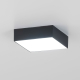 Citilux Тао CL712X122N LED Светильник потолочный с диммером Чёрный