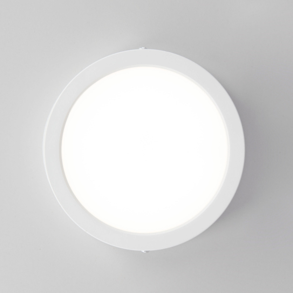 Citilux Галс CL5516N Светильник накладной светодиодный Citilux Галс CL5516N Светильник накладной светодиодный