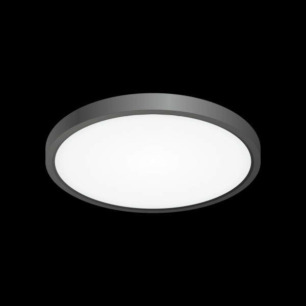 Citilux Бейсик CL738241V Светильник накладной Чёрный Citilux Бейсик CL738241V Светильник накладной Чёрный