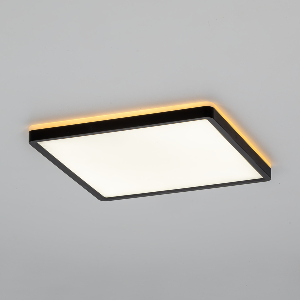 Citilux NORMA CL748K301 LED Светильник с подсветкой Чёрный Citilux NORMA CL748K301 LED Светильник с подсветкой Чёрный