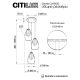 Citilux Garuda CL420033 Подвесной светильник Бронза
