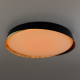 Citilux BONNY CL754451G LED RGB Светильник с пультом Чёрный + Клён