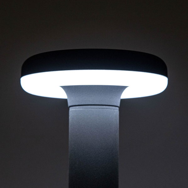 Citilux CLU01B LED Уличный парковый светильник Графит Citilux CLU01B LED Уличный парковый светильник Графит