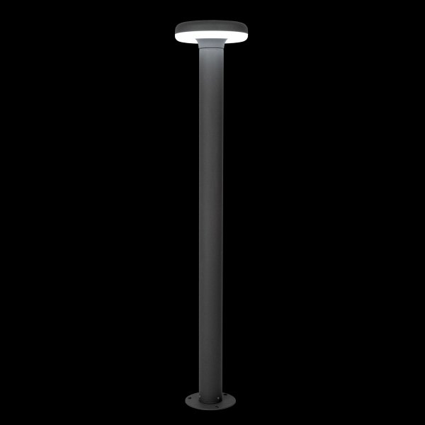 Citilux CLU01B LED Уличный парковый светильник Графит Citilux CLU01B LED Уличный парковый светильник Графит