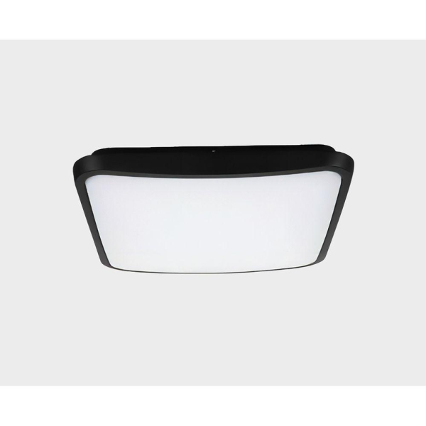 Уличный потолочный светильник Italline IT6012