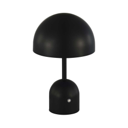 Настольная лампа Evoluce SLE1806-404-01