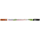 Настенный светодиодный светильник для растений Jazzway PPG Agro 5025936