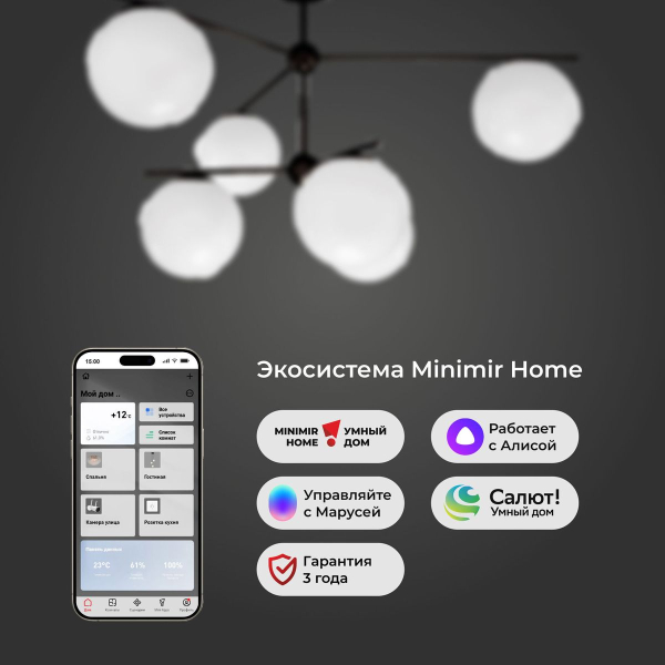 Потолочная люстра Eurosvet Marbella 60147/6 черный Smart