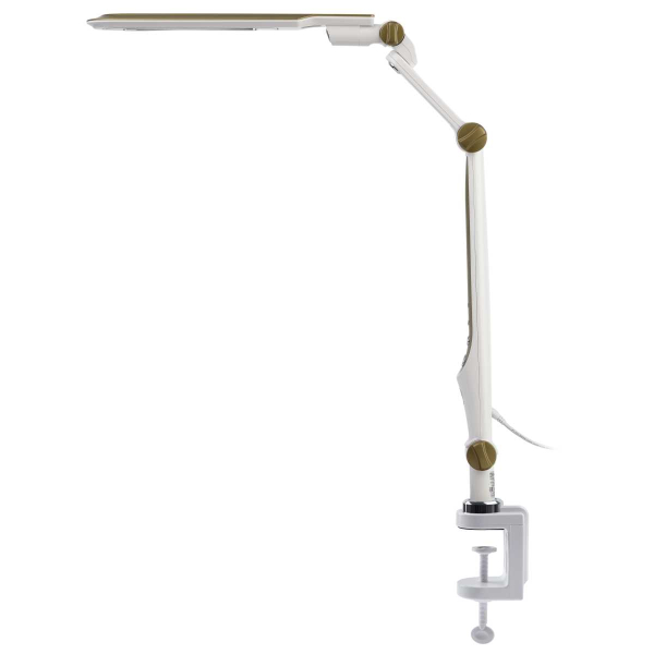 Настольная лампа ЭРА NLED-496-12W-G Б0052769