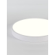 Потолочный светодиодный светильник Natali Kovaltseva LED LAMPS 81112/5C
