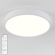 Потолочный светодиодный светильник Natali Kovaltseva LED LAMPS 81111/5C