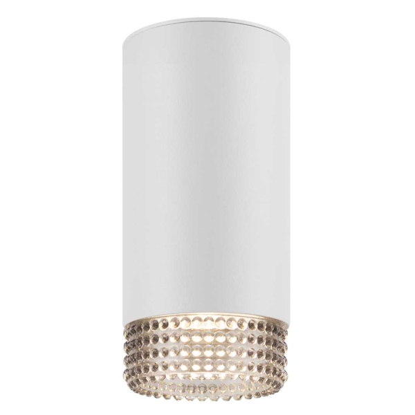 Накладной светильник ЭРА OL40 WH/GR Б0058478
