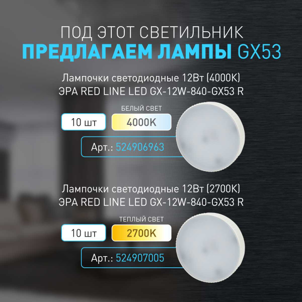 Настенно-потолочный светильник ЭРА OL37 BK Б0056384