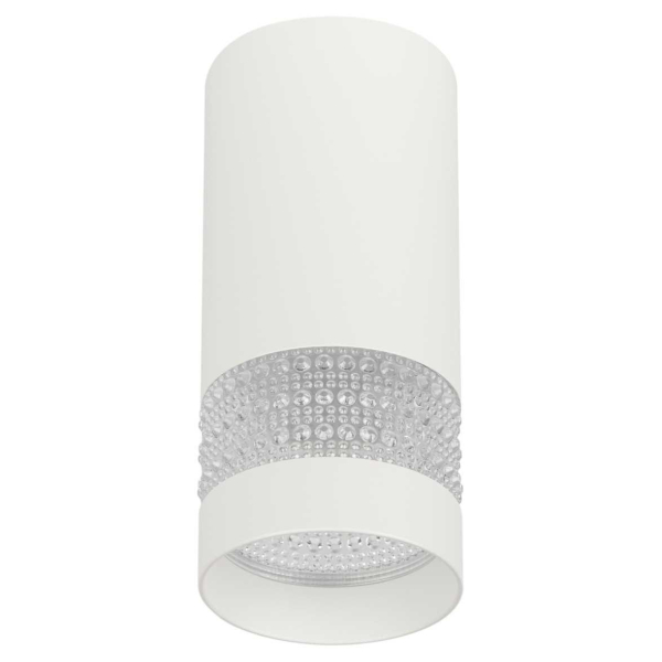 Настенно-потолочный светильник ЭРА OL41 WH/WH Б0058486
