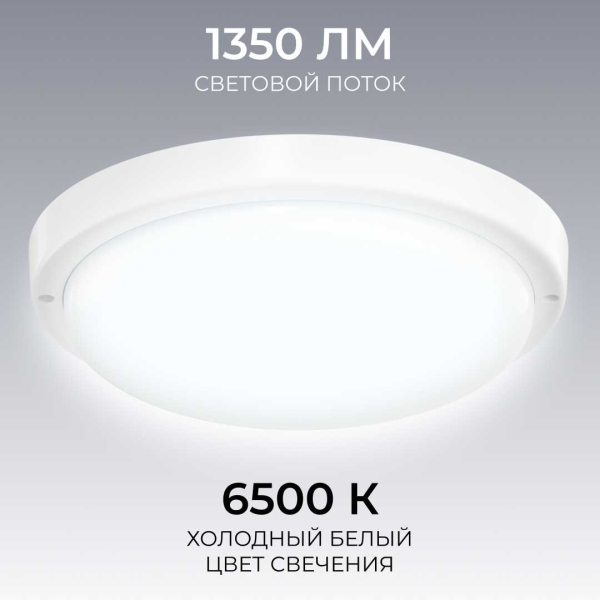 Светильник светодиодный герметичный OGM О28-10