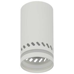 Настенно-потолочный светильник ЭРА OL50 WH Б0059802