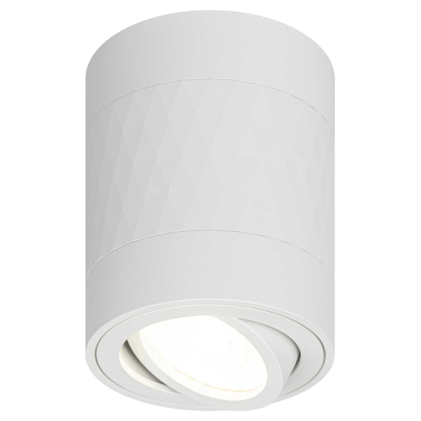 Настенно-потолочный светильник ЭРА OL33 WH Б0056379