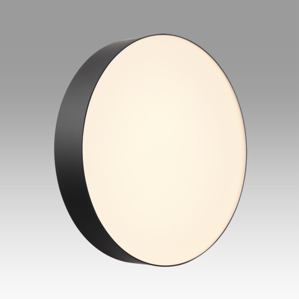 Настенно-потолочный светильник Sonex BASICA 7780/DLN