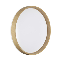 Настенно-потолочный светильник Sonex BASICA 7684/ELN