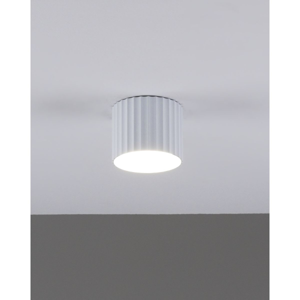 Настенно-потолочный светильник Moderli Cora V11892-1C