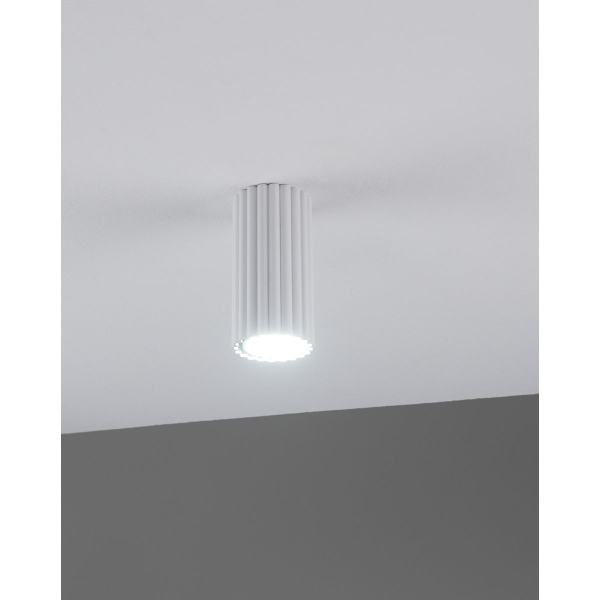 Настенно-потолочный светильник Moderli Cora V11888-1C