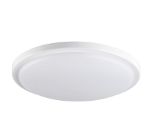 Настенно-потолочный светодиодный светильник Kanlux ORTE LED 24W-NW-O-SE 29163