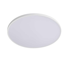 Настенно-потолочный светодиодный светильник Lightstar Arco Eco 225740