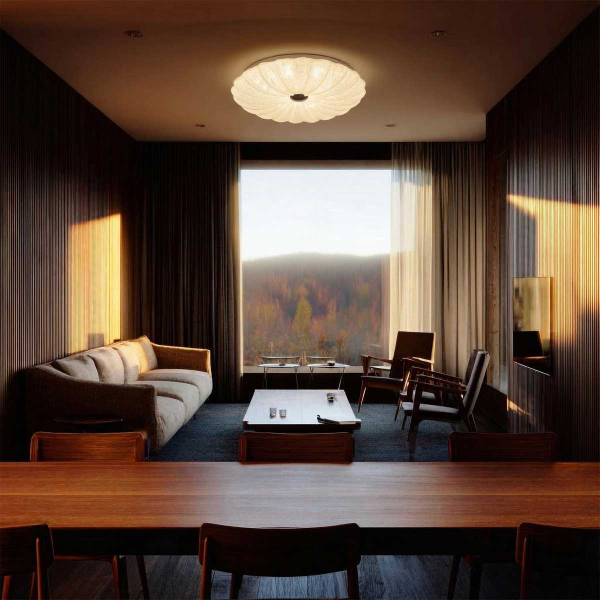 Настенно-потолочный светодиодный светильник Lightstar Arco Shell 225660