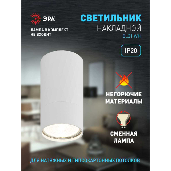 Настенно-потолочный светильник ЭРА OL31 WH Б0056375