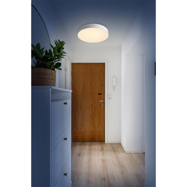 Настенно-потолочный светильник Sonex BASICA 7779/ELN