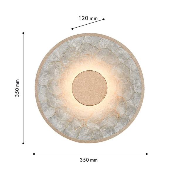 Настенный светильник Favourite Solarius 4858-1W