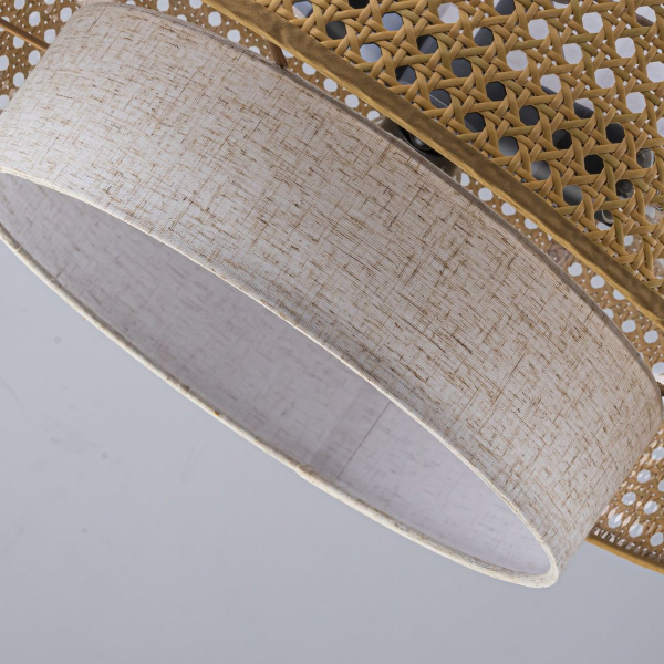 Подвесная люстра Favourite Organicum 4768-3P