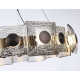 Подвесная светодиодная люстра Ambrella light High Light LH31030