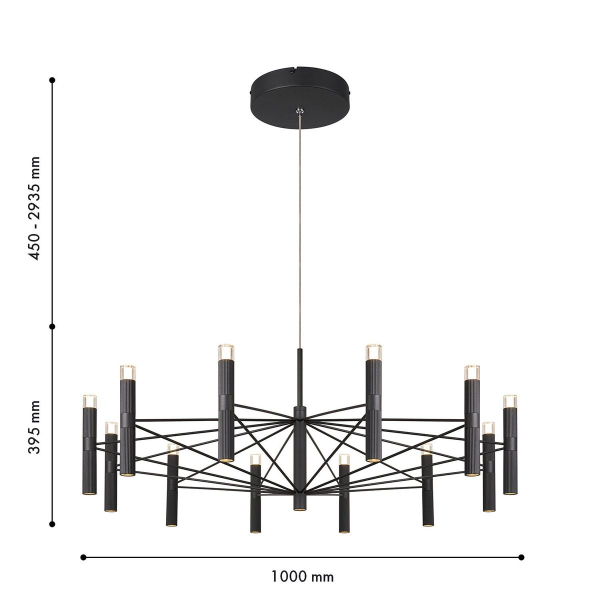 Подвесная светодиодная люстра Favourite Blick 4758-12P