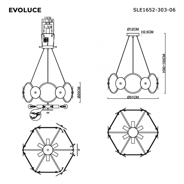 Подвесная люстра Evoluce Desi SLE1652-303-06