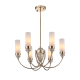 Подвесная люстра ST Luce Elegra SL1402.253.06